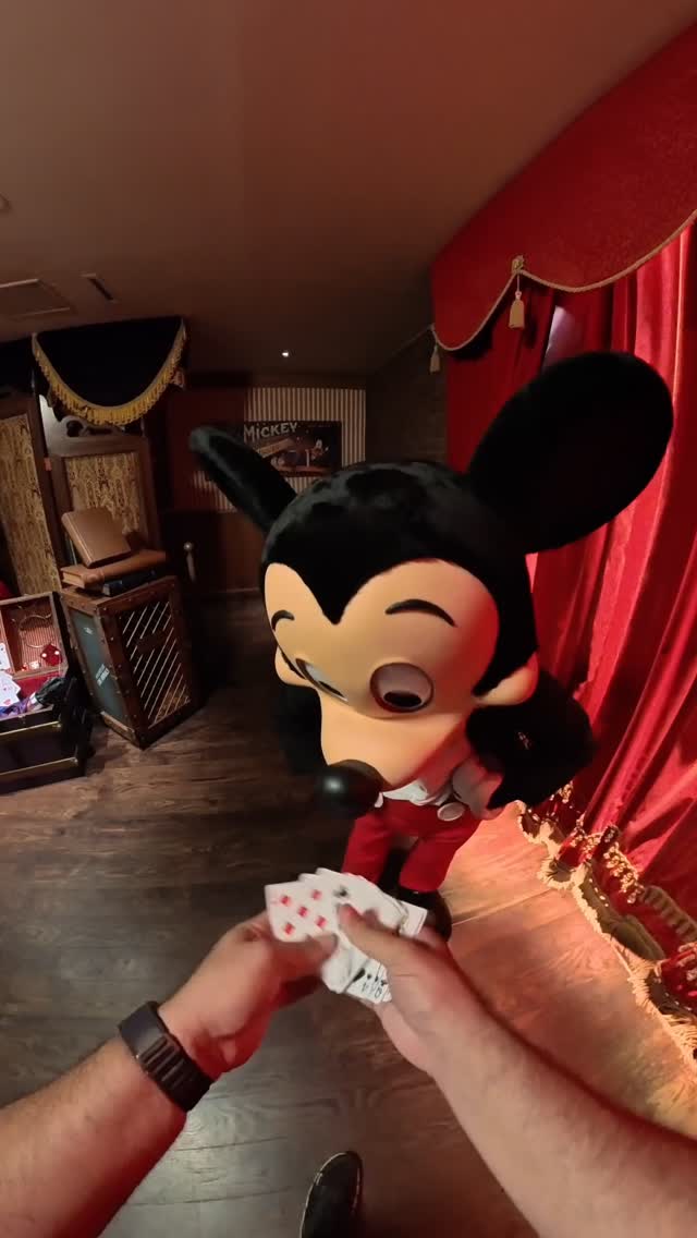 La magie pour Mickey à Disneyland